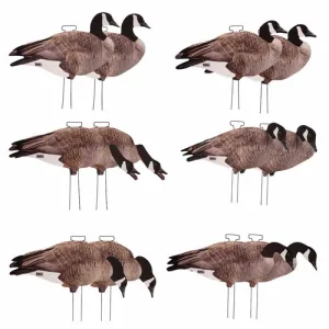AVERY PG Canada Goose Silhouette Decoys - 12 Pack