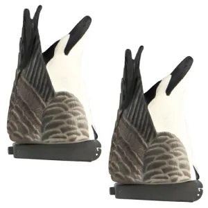 BANDED PG Butt-Up Canada Goose Decoys - 2 Pack