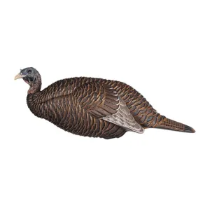 FLEXTONE Thunder Chick Breeder
