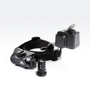 DT SYSTEMS No Bark Dog Training System w Rechargeable Battery