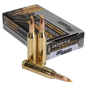 SIG SAUER 243 Win 55Gr Varmint & Predator 20rd Ammo
