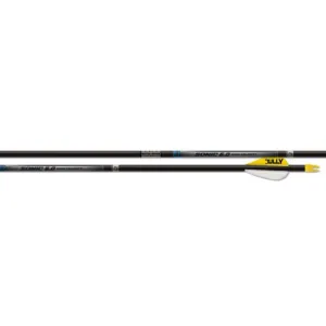 EASTON Sonic 6.0 Match Grade 2" Blazer Vanes 500 Factory Helical Arrows | 6 Pack