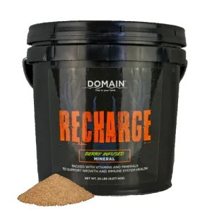 DOMAIN OUTDOORS RECHARGE Berry Infused Deer Mineral Bucket | 20 Pounds