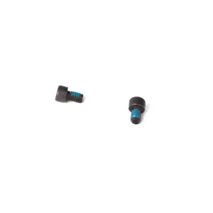 P320 X SIGHT PLATE SCREWS