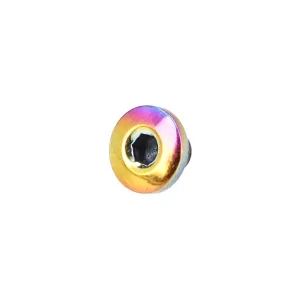 P238 RAINBOW HEX GRIP SCREW