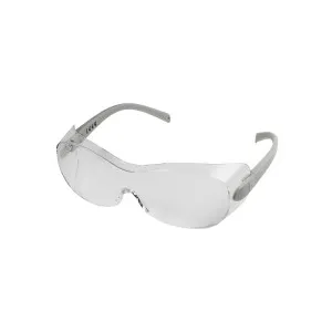 Radians Sheath OTG Over-Glasses Anti-Fog Safety Glasses