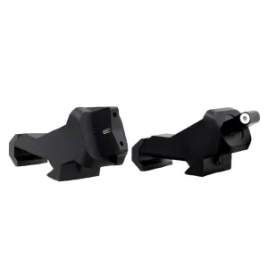 XS SightXTI2 DXT 45 Degree Offset BUIS Big Dot Tritium Front & Rear