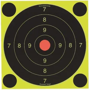 Birchwood Casey Shoot-N-C International Target