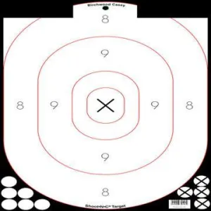 Birchwood Casey Shoot-N-C 12" x 18" White/Black Silhouette 5/ct with 90 Pasters