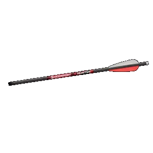 Bloodsport Hunter Crossbow Bolts 22" 300 Spine 6/pk