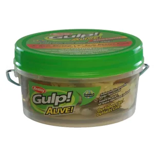 Berkley GulpAlive SW Shrimp Assorted