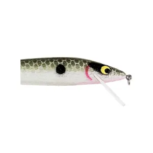 Smithwick Suspending Rattlin' Rogue Jerkbait 4-1/2" Avocado Shad