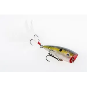 Strike King HC KVD Splash Clear Ghost Sexy Shad