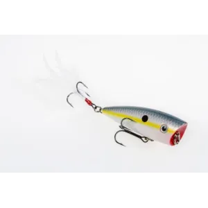 Strike King HC KVD Splash Sexy Shad