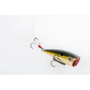 Strike King HC KVD Splash Gold Sexy Shad