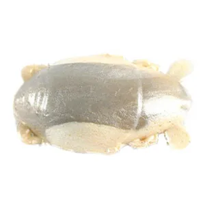 Berkley Gulp Sand Crab Flea 1'' Natural Flea 12pk