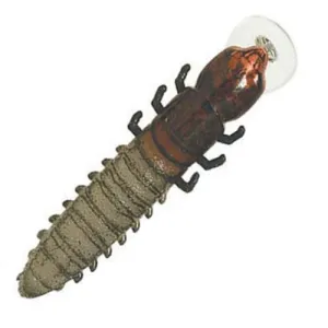 Rebel Hellgrammite Mature Hellgrammite