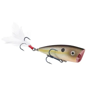 Strike King HC KVD Splash Jr Summer Sexy Shad