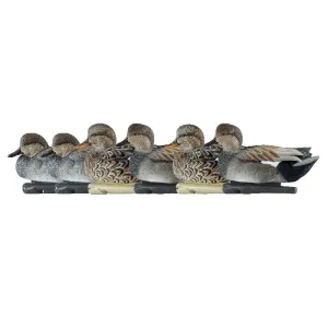 Avian-X Topflight Decoys Gadwall 6/ct