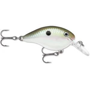Rapala Dives To 4 Crankbait 2" 5/16 oz Green Gizzard Shad