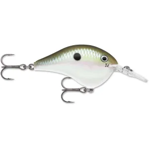 Rapala Dives-To 6 Crankbait 2" 3/8 oz Green Gizzard Shad