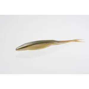 Zoom Mag Super Fluke 7'' Arkansas Shiner 5pk