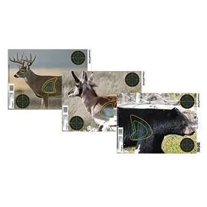 Champion Visicolor Real Life Target - Big Game