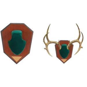 Allen Antler Mounting Kit - Green Skull