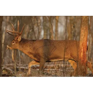 Birchwood Casey Eze-Scorer Targets Whitetail Deer Target 23"x35" 2/ct