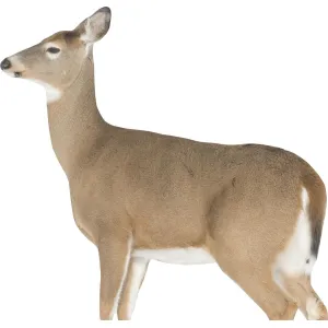 Montana Decoy Co Dreamy Doe Decoy