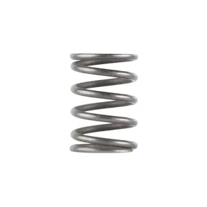 Dead Air Piston Spring for Ghost Odessa and Mojave 9