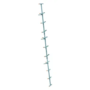Ol'Man Canopy Double-Step Climbing Stick 20 ft