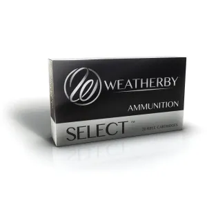6.5-300 Wby Mag 140 gr Soft Point