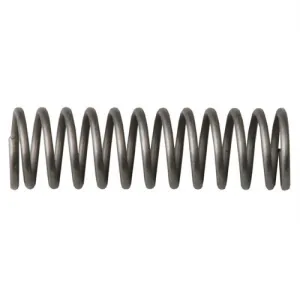 Wolff Gunsprings Reduced Power Trigger Spring 3 Pak Ruger 10/22