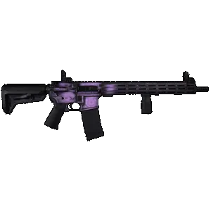 SHARK COAST 300-132-1000-25 556 16" VALKYRIE DELUX