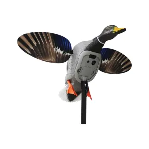 Mojo Outdoors HW2520 Mojo Mallard Elite Mallards Species Multi Color Plastic