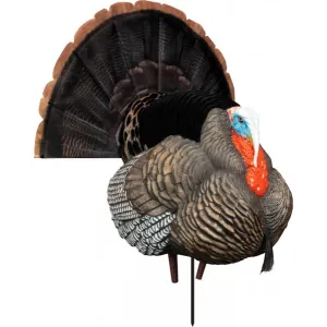 Higdon Outdoors 63148 Hard Body Apex Strutter Turkey Tom Species Multi Color