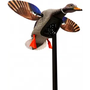 Mojo Outdoors HW2470 Elite Series Mini Mallard Drake Species Multi Color Plastic