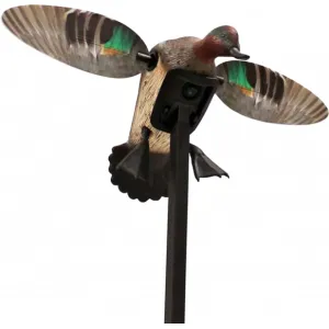 Mojo Outdoors HW2474 Elite Series Green Winged Teal Duck Species Natural Molded Plastic Features Remote Compatible