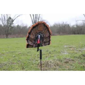 Mojo Outdoors HW2497 Fatal Fan Turkey Species Multi Color Synthetic
