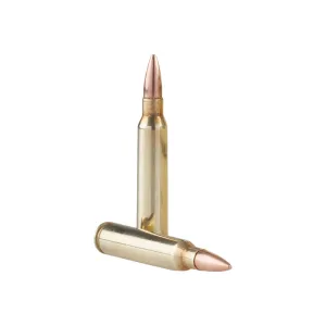 TR&Z PPU Range Master 5.56x45mm NATO 125 Rounds 55 gr Full Metal Jacket Boat Tail Brass Case