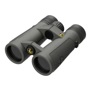 Leupold 174483 Bino 10X42 BX-5 Santiam HD Gray