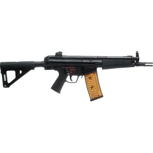 Century Arms AP53 5.56 NATO Pistol with Magpul BSL Brace