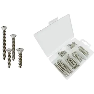 T-H Marine 48 Piece Phillips Oval Head Tapping Screw Kit