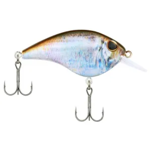 Berkley Frittside 5 Junior Crankbait HD Blueback Herring