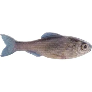 6th Sense Panorama 2" Jerkbait Live Minnow