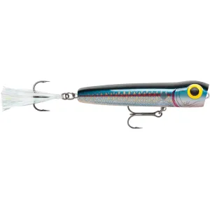 Storm Chug Bug 08 Topwater Silver Blue Shad