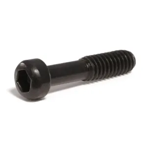 Ruger 10/22 Takedown Screw
