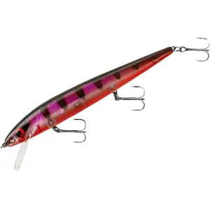 Smithwick Perfect 10 Rogue Jerkbait Geneva