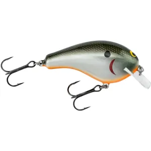 Bagley Balsa B2 Crankbait Tennessee Shad Orange Belly